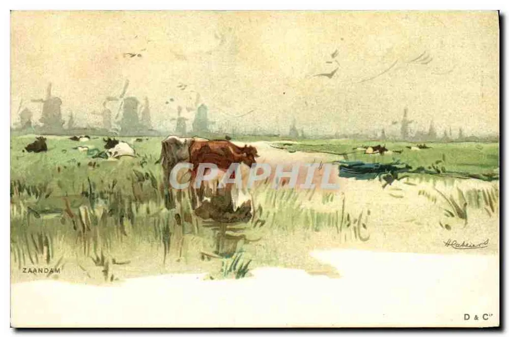 Zaandam — Landschaft mit Kühen und Windmühlen — D & C - Vorderseite