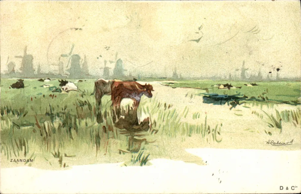 Zaandam — Landschaftsansichten mit Windmühlen — D & C° - Vorderseite