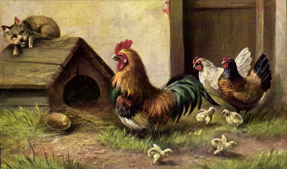 Galos e pintos — cena de fazenda — União Postal Universal, série 216 - Frente