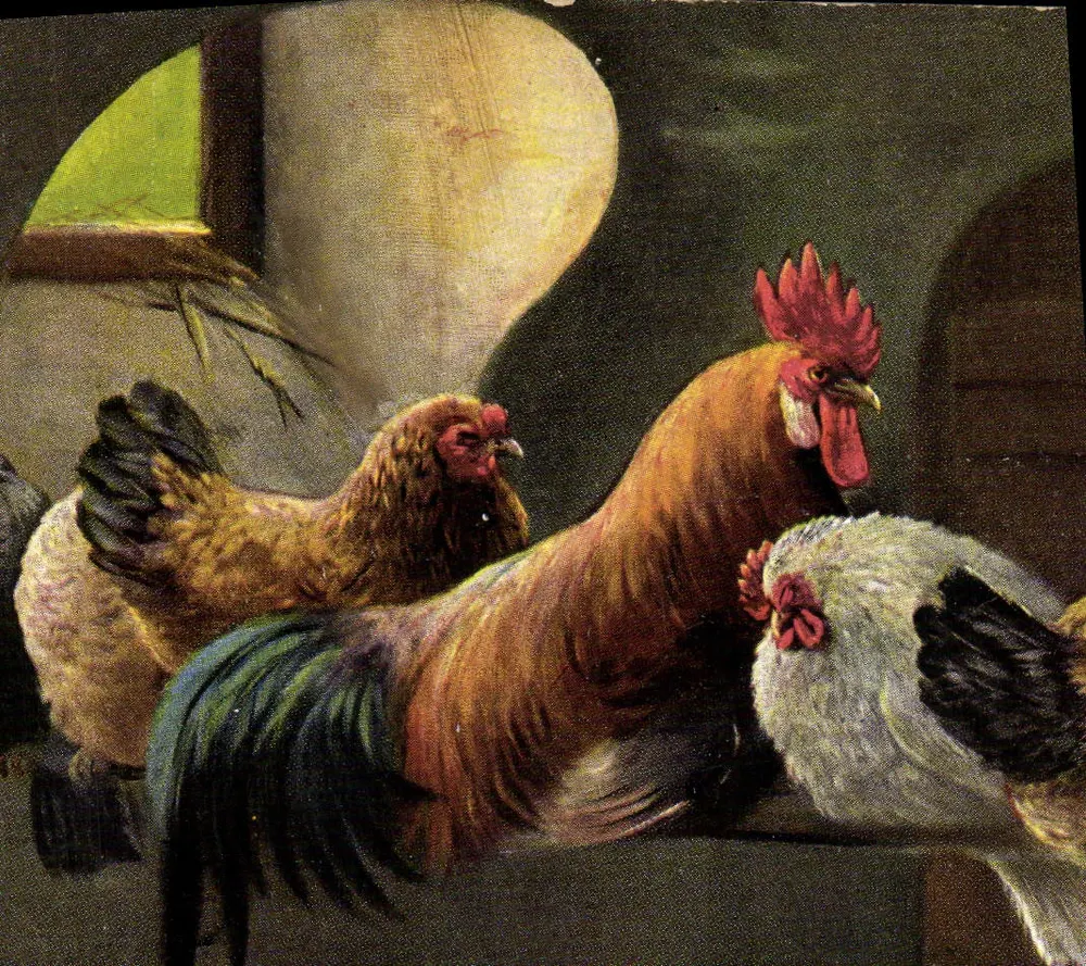 Galinhas e galinha em uma fazenda — Série 216 — União Postal Universal - Frente