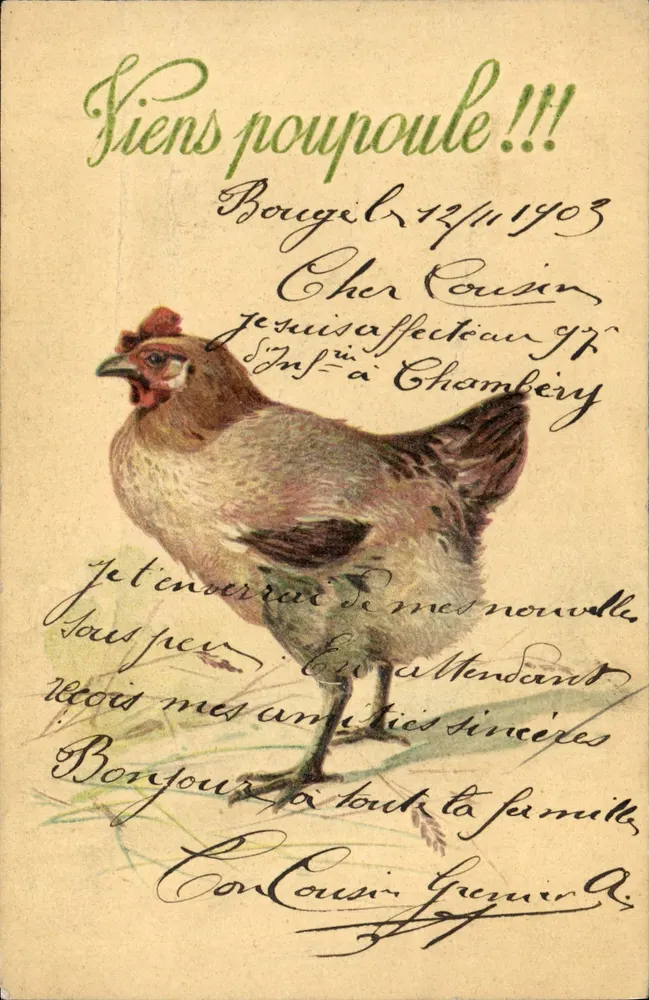 Poule — illustration d'une poule — éditeur non visible - Frente