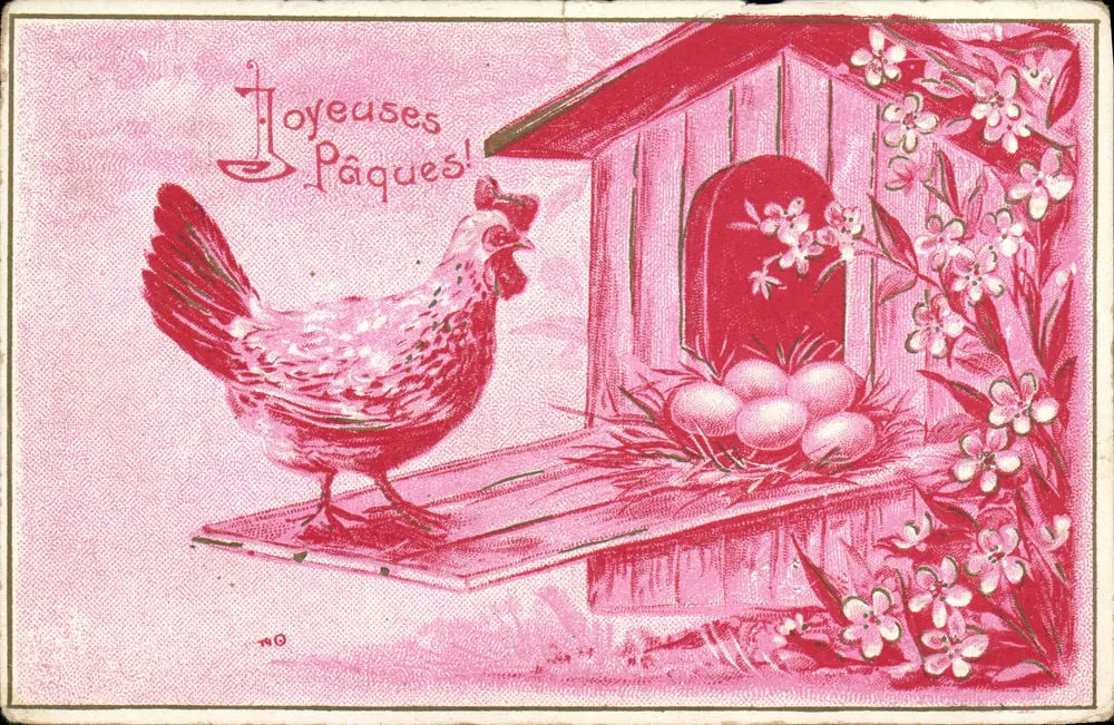 Galinha e pintos — Páscoa — Carta postal multilíngue - Frente