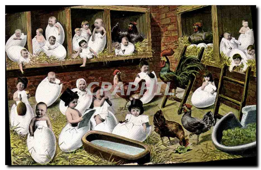 Bébés sortant des œufs — scène de ferme — éditeur 'Weltpostverein' n° 319 - Vorderseite