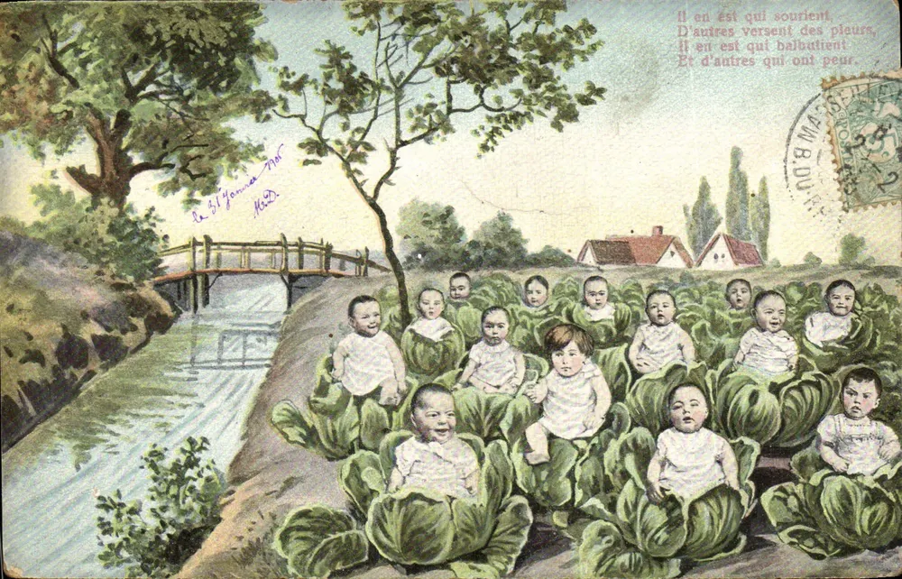Kinder in Kohlköpfen — Serie 5743 — P.F. Paris - Vorderseite
