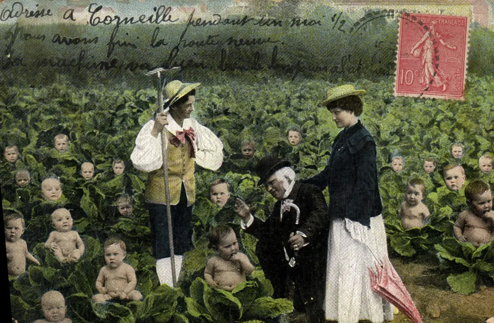 Famille dans un champ de choux — scène humoristique avec des bébés visibles dans les feuilles — éditeur non visible - Vorderseite