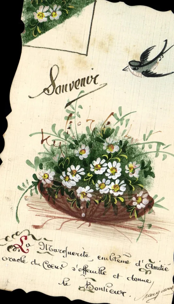 Arranjo de margaridas — lembrança de amizade — Marguerite Bonlieur - Frente