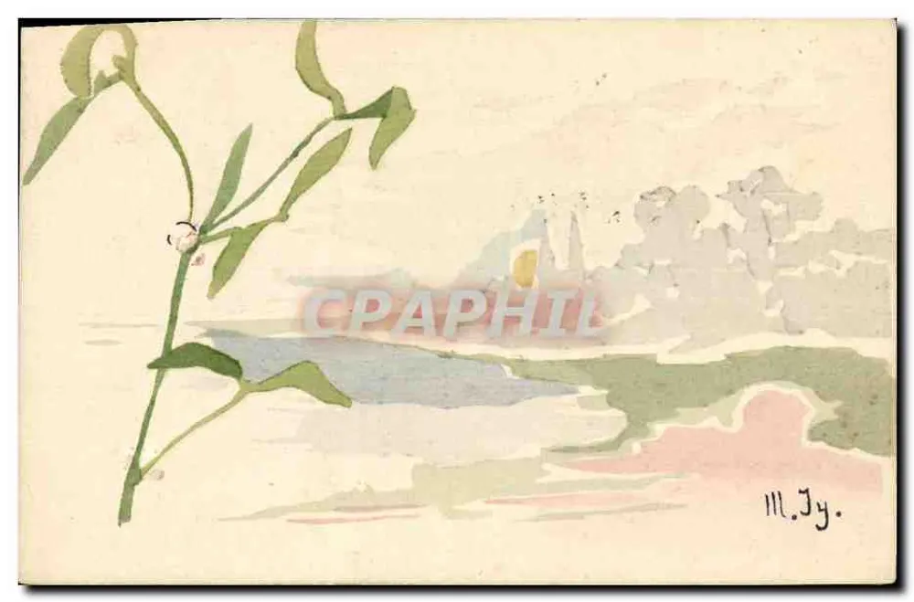 Wasserpflanze — Flusslandschaft — M.Jy. - Vorderseite