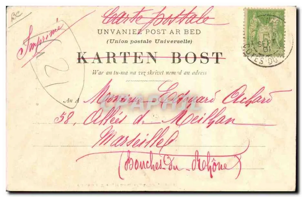 Un capitaine islandais — 1008 — Collection A. Varon, St. Briec, Cliché Torry, Paimpol - Verso