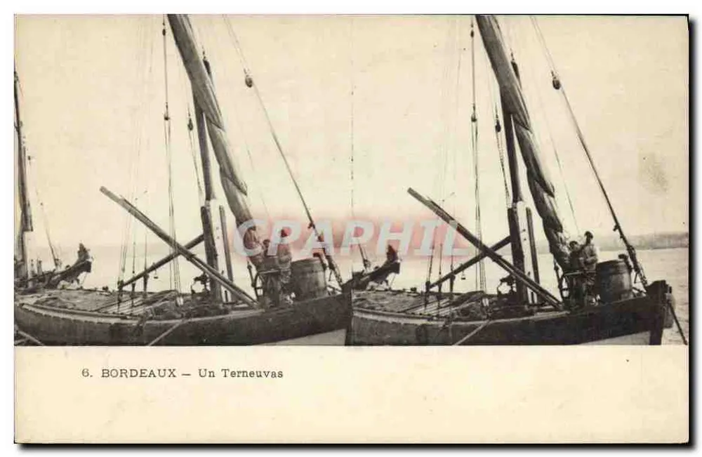 Bordeaux — Un Terneuvas - Recto