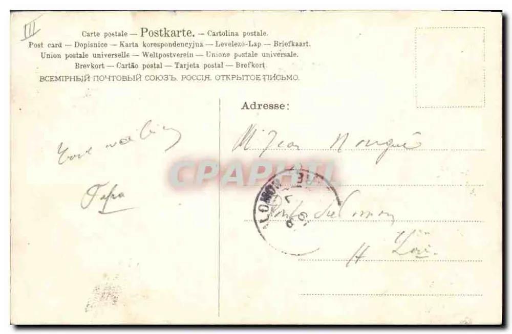 Cachorro — observando uma lesma — A&M B N°663 - Verso
