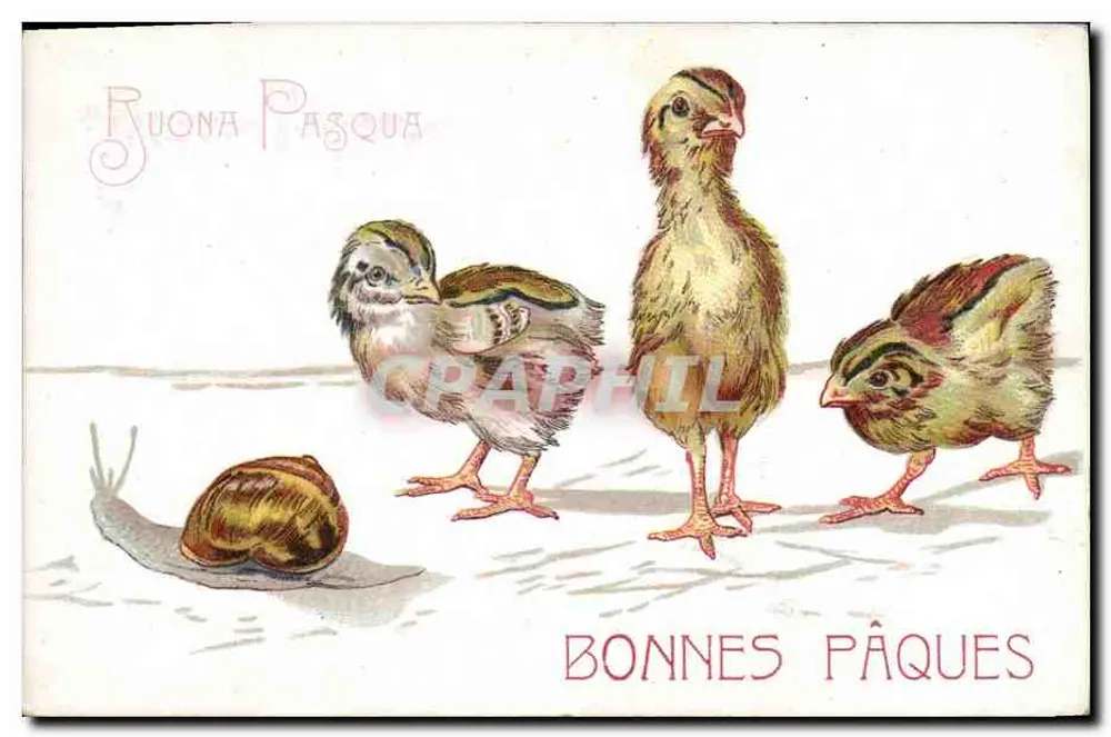 Três pintinhos e um caracol — Boas Páscoas — editor não visível - Frente