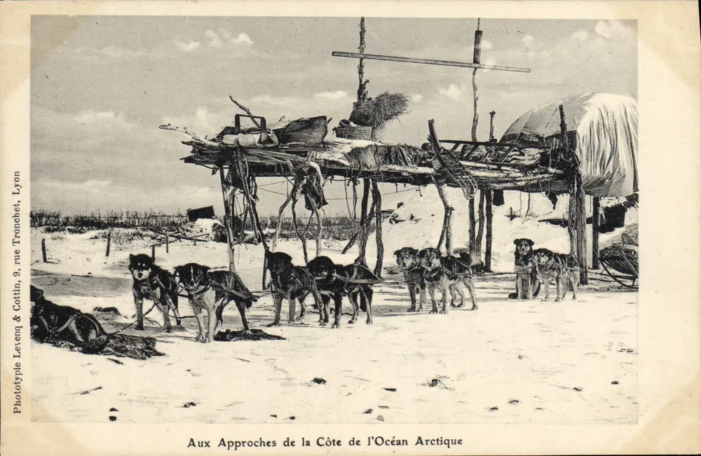 In der Nähe der Küste des Arktischen Ozeans — Phototype Levenq & Cottin, 9, rue Tronchet, Lyon - Vorderseite