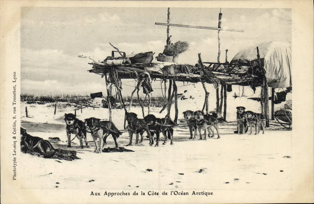 Ansätze der Küste des Arktischen Ozeans — Phototypie Levenq & Cottin, Lyon, n°9 rue Tronchet - Vorderseite