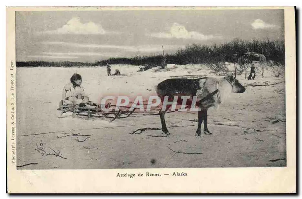 Rentiergespann — Alaska — Phototypie Leveug & Cottin, 9, rue Tronchet, Lyon - Vorderseite