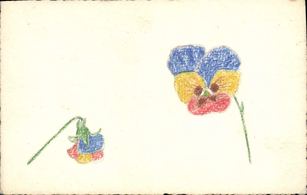 Zwei farbige Gänseblümchen — Pastellzeichnung - Vorderseite