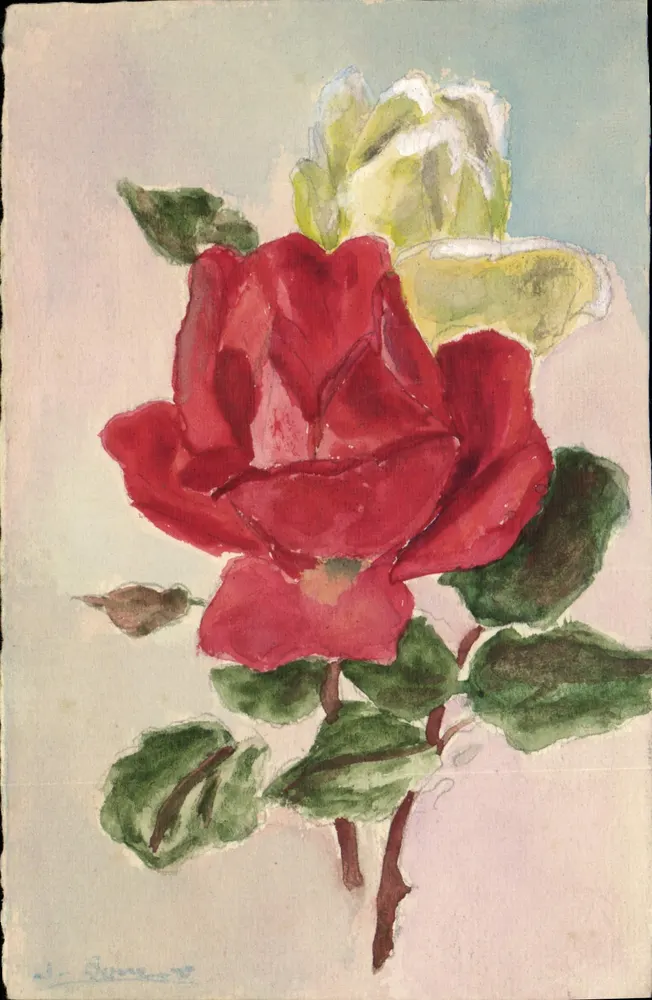Rote Rose — Aquarell — Signatur 'L. Buret' unten links - Vorderseite