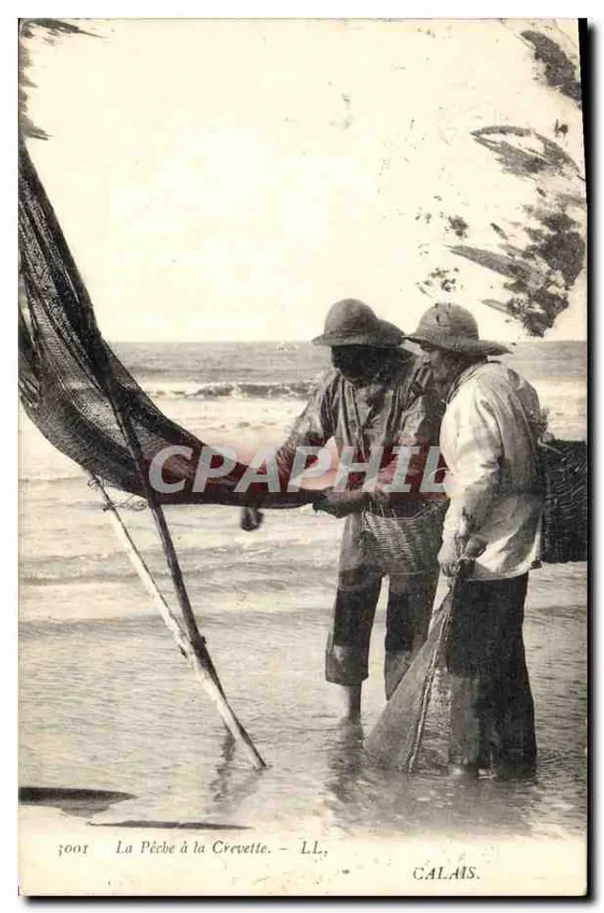 A Pesca de Camarões — CALAIS — LL, n° 3001 - Frente