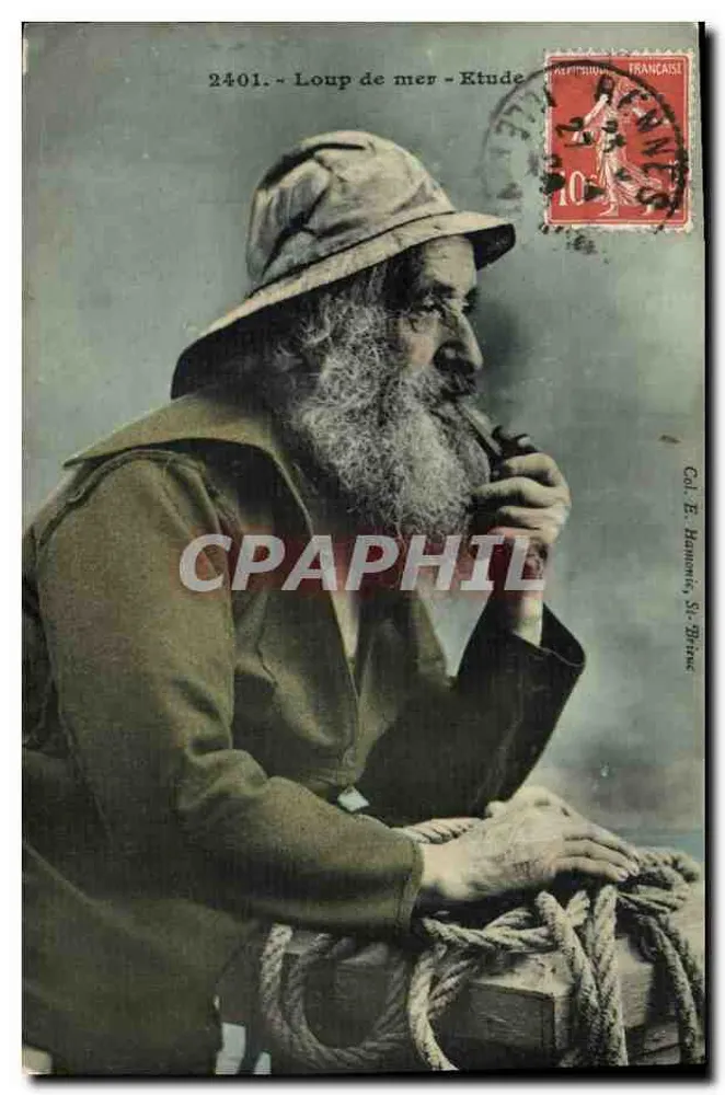 Lobo do mar - Estudo — Col. E. Hamonic, St-Brieuc, n°2401 - Frente
