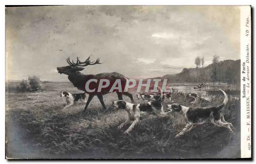 Hirschjagd — Jagdhunde — F. MAISSEN — Salons de Paris, n° 4430 - Vorderseite