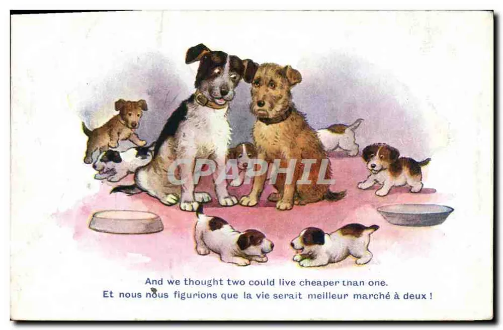 Cães e filhotes — Dois por um — Série Comique, n° 2898, editor Tinter-Art Co. - Frente