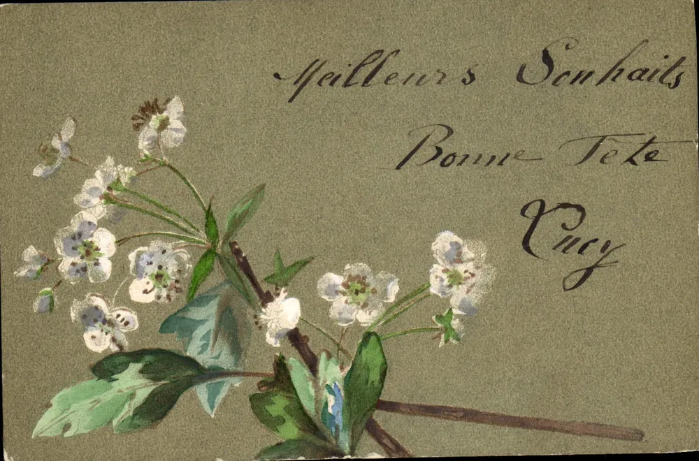 Frühlingsblumen — Beste Wünsche — D.T.C. Ser. 129, 4 - Vorderseite