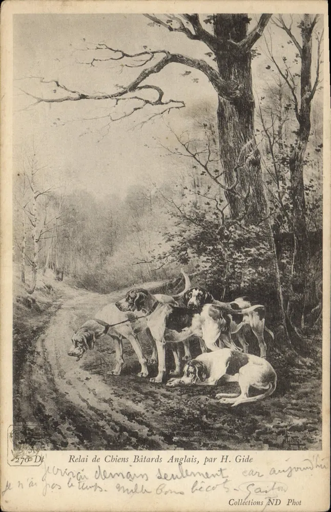 Englische Mischrasen Hunde — Jagdhund-Relais — von H. Gide, Collections ND Phot - Vorderseite