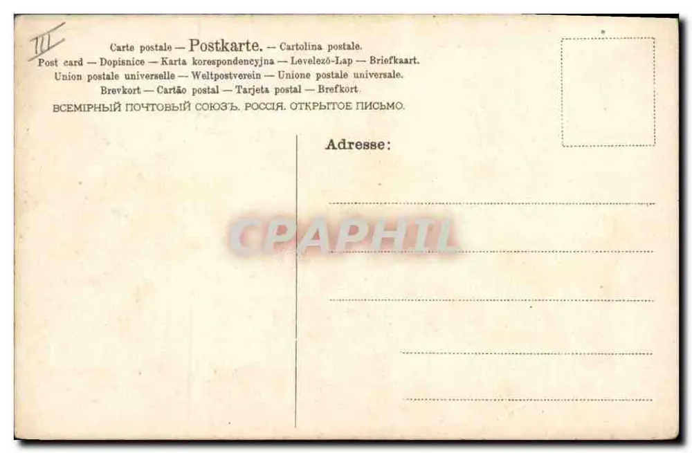 Caça à cavalo — cavaleiros em traje vermelho e cães — editor A.A. KARLSON - Verso