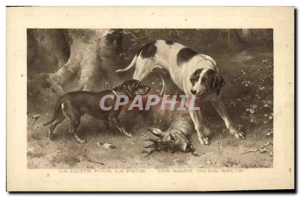 Hunde im Jagdgeschehen — Der Kampf um die Beute — Verlag G. Béguin, Nr. 1777 - Vorderseite