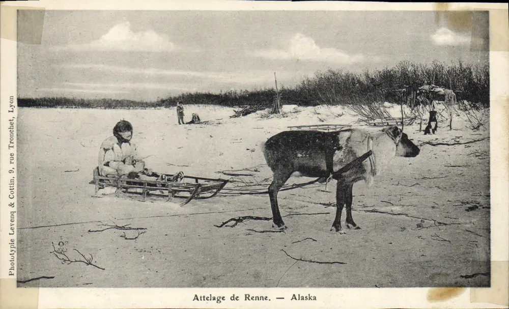 Trineo de renos — Alaska — Phototypie Lévenq & Cottin, Lyon, rue Tronchet, 9 - Anverso