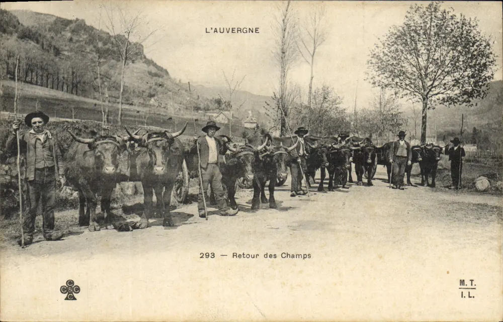 Auvergne — Rückkehr von den Feldern — M.T. I.L. n°293 - Vorderseite