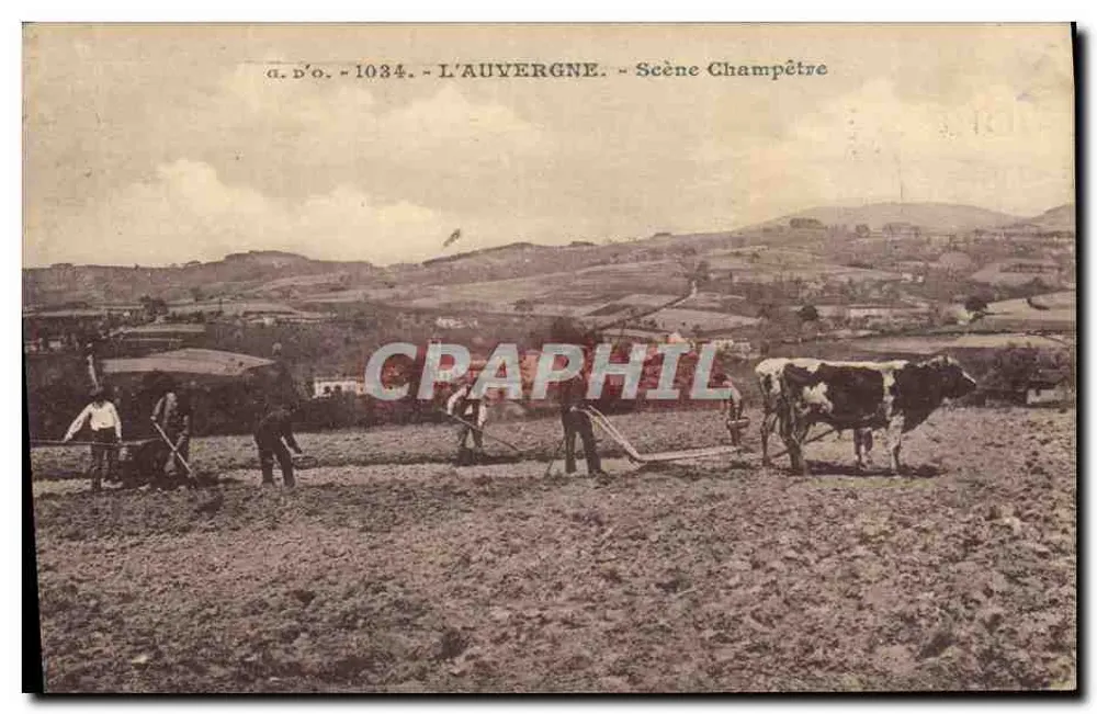 A Auvergne - Cena Campestre — a.d'o. - 1034 - Frente