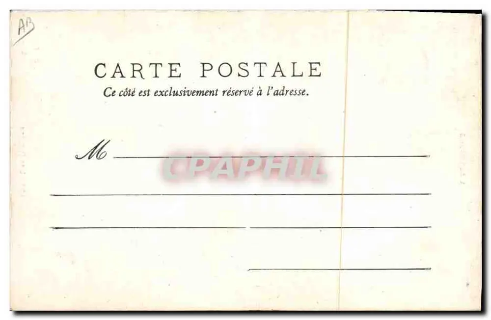 Auvergne — Starsza Pani — C&C - Rewers