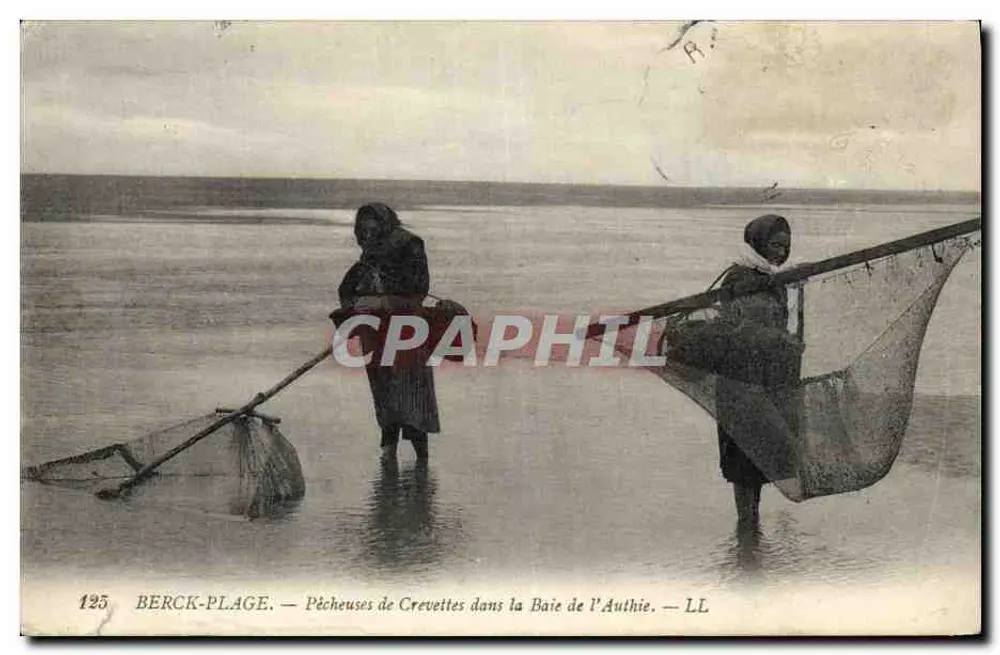 Berck-Plage — Pêcheuses de crevettes dans la Baie de l'Authie — LL, n° 125 - Vorderseite