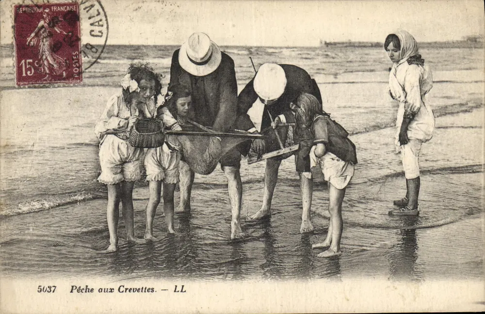 Pescaria de Camarões — LL — 5037 - Frente