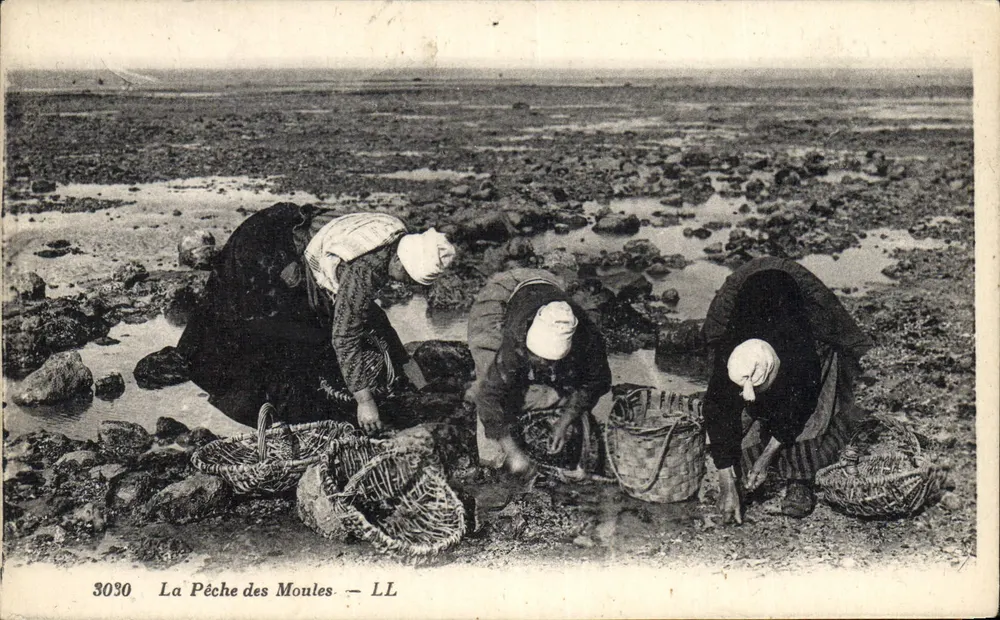 A Pesca de Moliéus — LL — 3030 - Frente