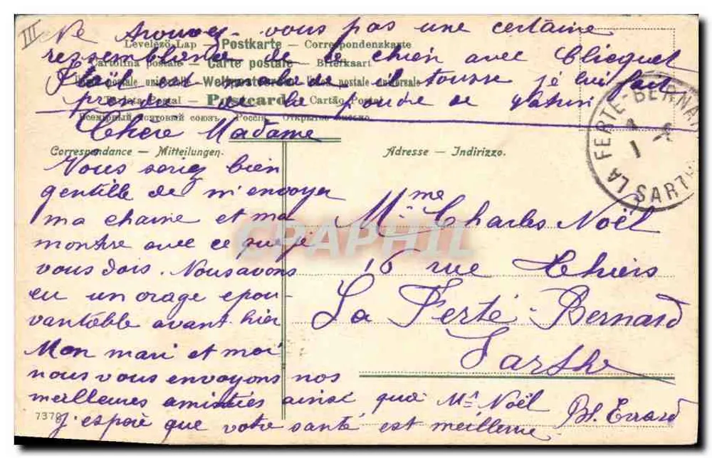 Cão de caça — retrato — editor não visível - Verso