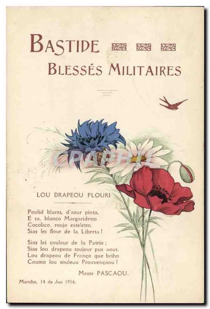 Bastide — Verwundete Soldaten — Meste Pascaou - Vorderseite