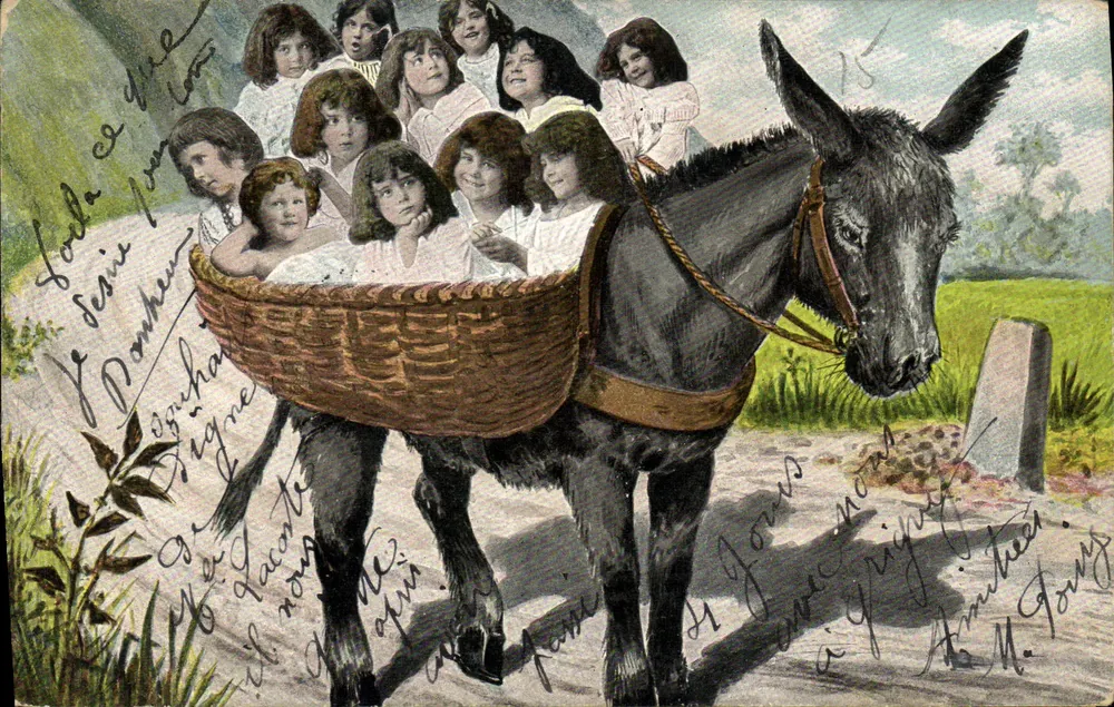 Niños en una cesta sobre un burro — editor no identificado, serie 310 - Anverso