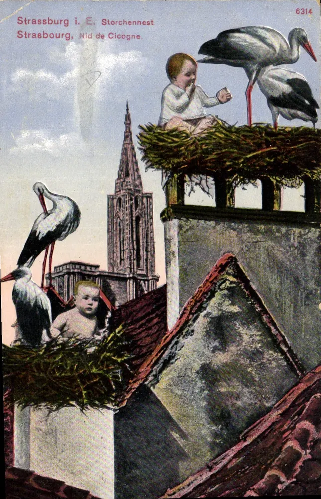 Straßburg, Nest der Störche — Szene mit zwei Störchen und zwei Kindern auf Dachnisten, Verlag Felix Luib, n° 6314 - Vorderseite