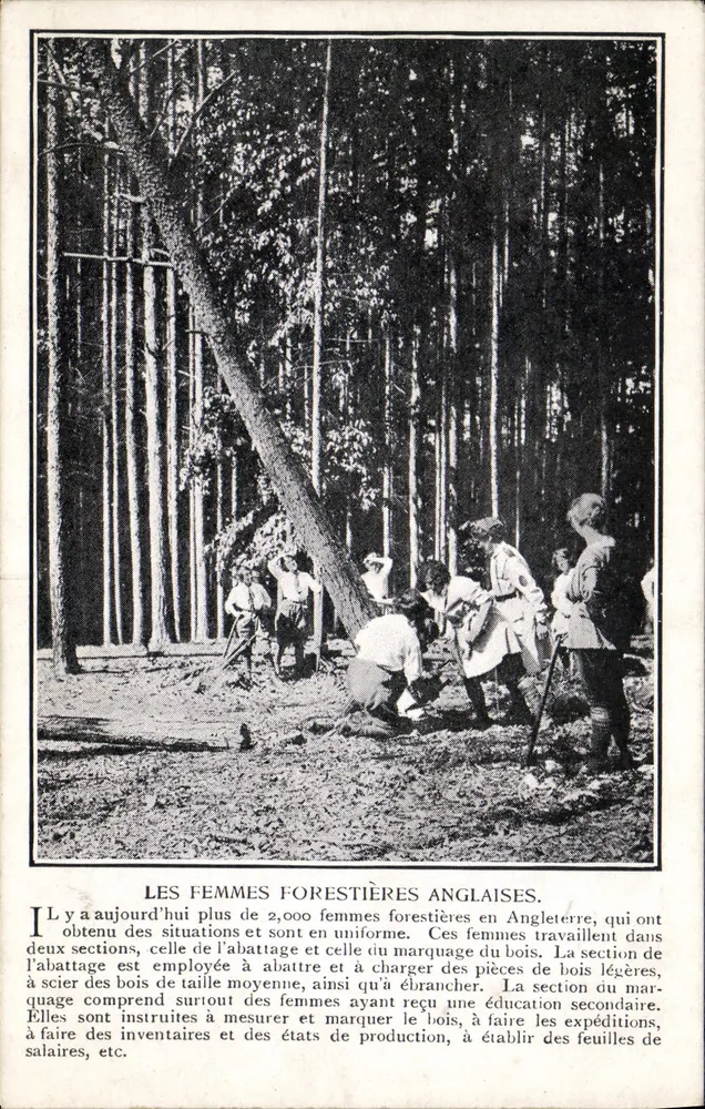 As Mulheres Florestais Inglesas — trabalho em uma floresta — texto impresso - Frente