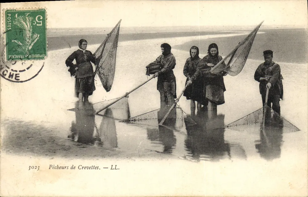 Pescadores de Camarões — LL. — LL. - Frente
