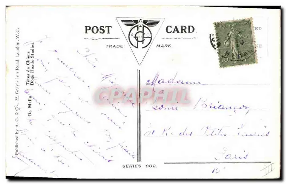 Gato branco e Fox-Terrier belga — série 802 — A.G. & Co., London - Verso