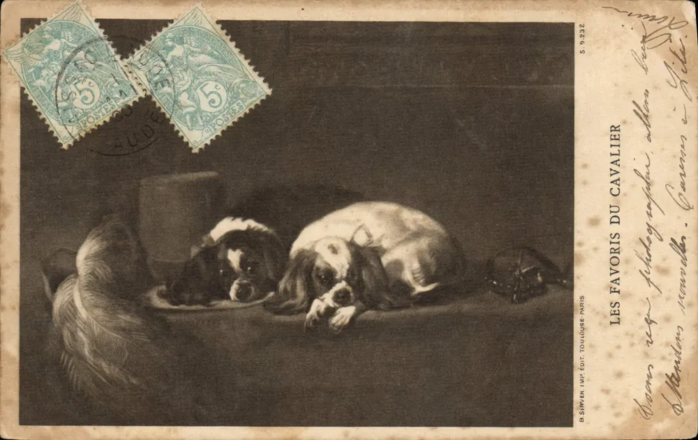 Zwei Cavalier-Dogs — Ruhepause — B. SIPVÉN IMP. ÉDIT. TOULOUSE-PARIS - Vorderseite