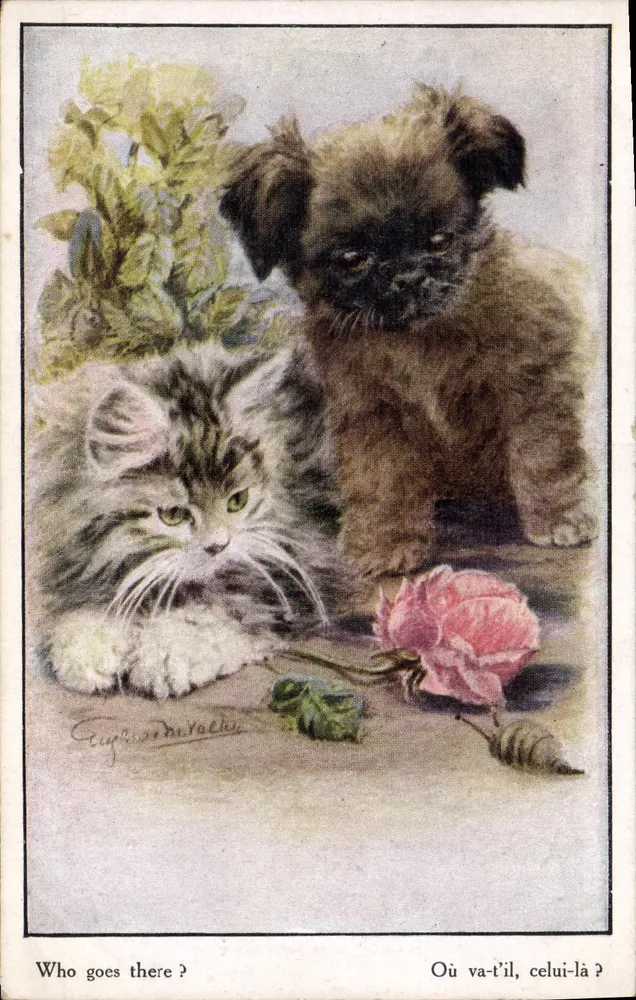Gato e filhote de cachorro — Para onde ele vai, aquele aí? — Florence House, Barnes - Frente