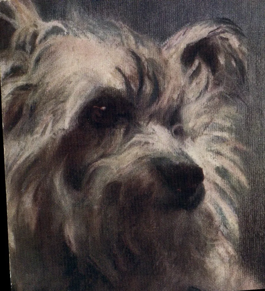 Portrait d'un petit chien — dessin au pastel — Tuck's Post Card n°9462 - Frente