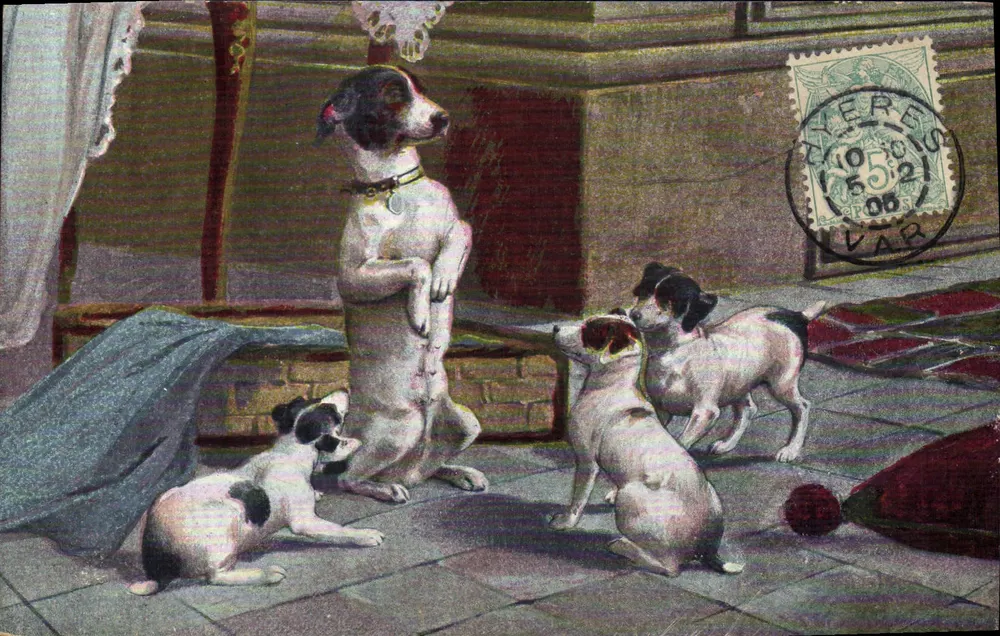 Chiens — cena interior — União Postal Universal, n° 97 - Frente