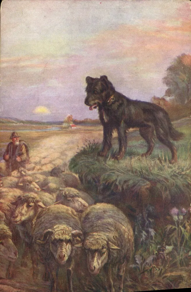 एक बर्गर कुत्ता जो गोता देखभाल कर रहा है — E. Samson, N° 231, पेरिस के सैलॉन - आगे
