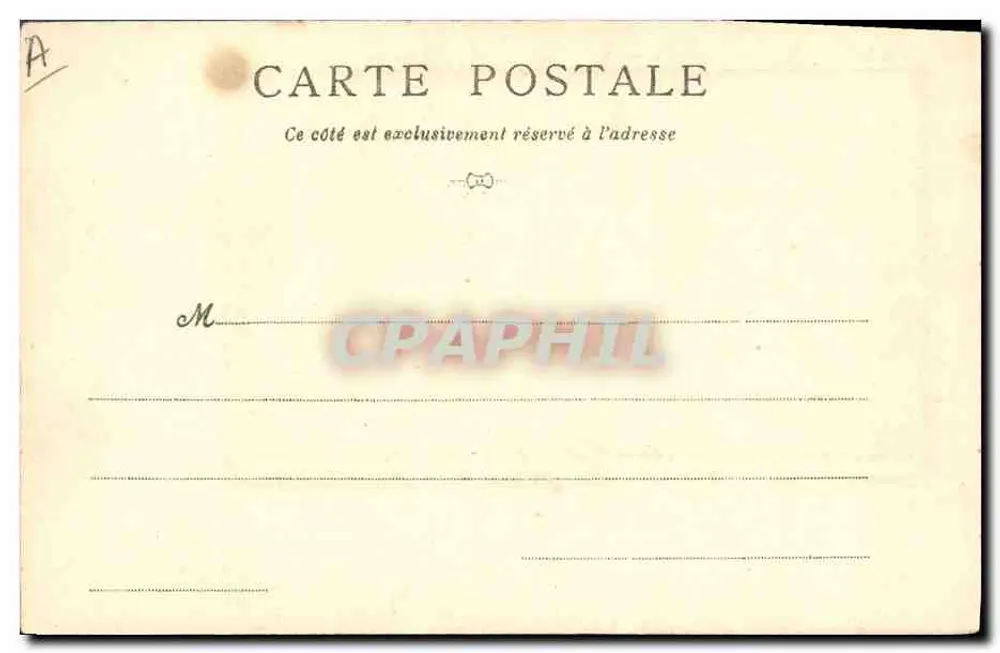 Braque du Bourbonnais — cão de caça — carta postal ilustrada - Verso