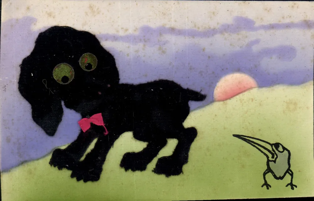 Chien noir avec noeud rose — scène de paysage avec oiseau — éditeur non visible - Frente