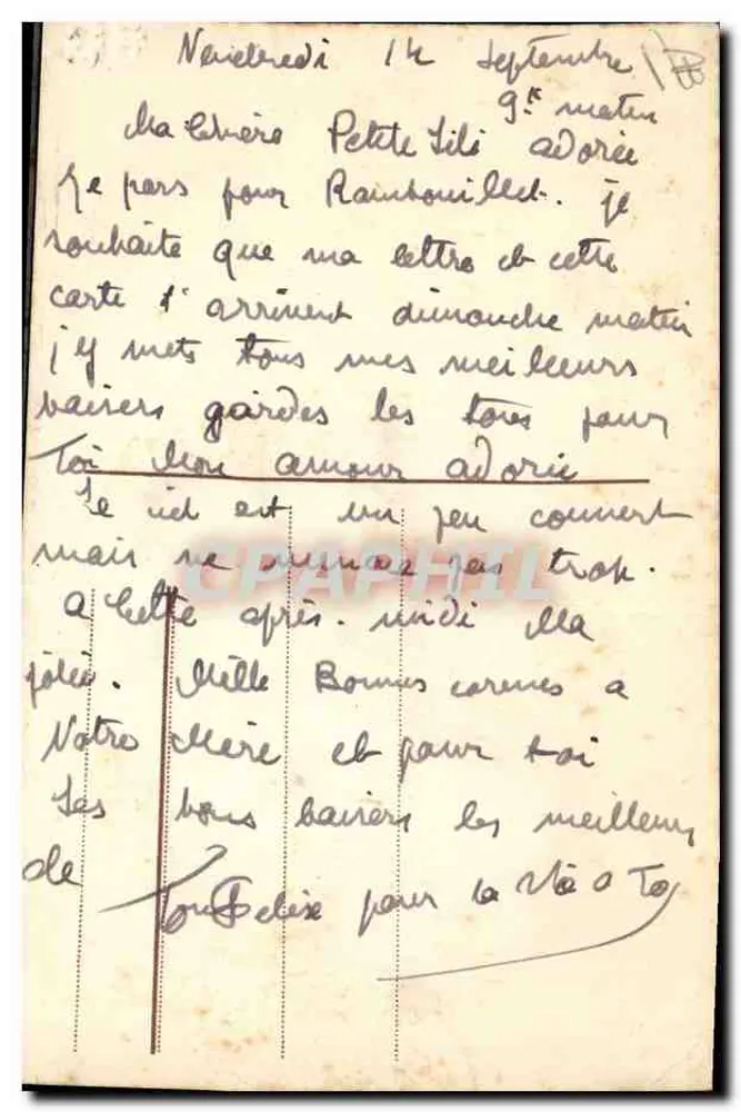 Chien noir avec noeud rose — scène de paysage avec oiseau — éditeur non visible - Verso